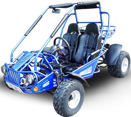 TrailMaster 300E XRS (EFI) Dune Buggy Go Kart, Liquid Cooled, Chain Drive