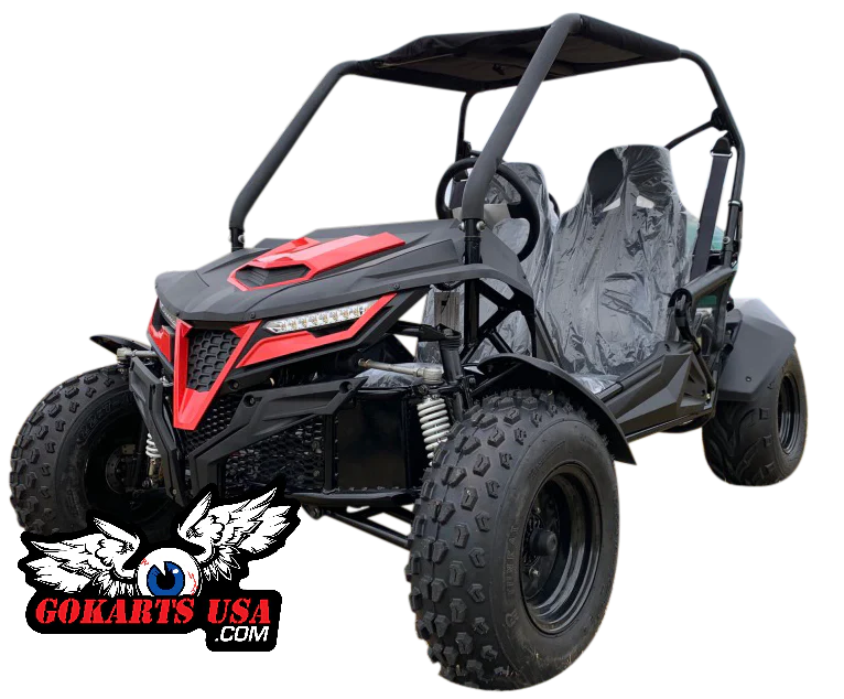TrailMaster Cheetah 200 Full Size Buggy Go Kart, CVT Automatic with Reverse