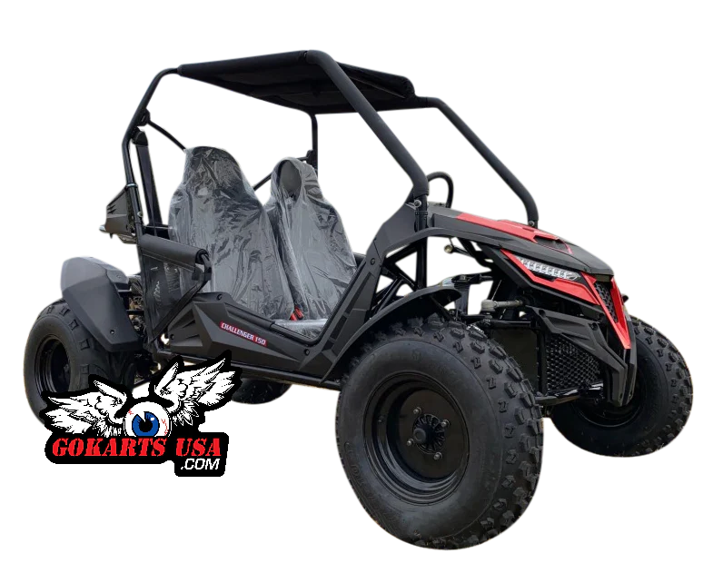 TrailMaster Cheetah 200 Full Size Buggy Go Kart, CVT Automatic with Reverse