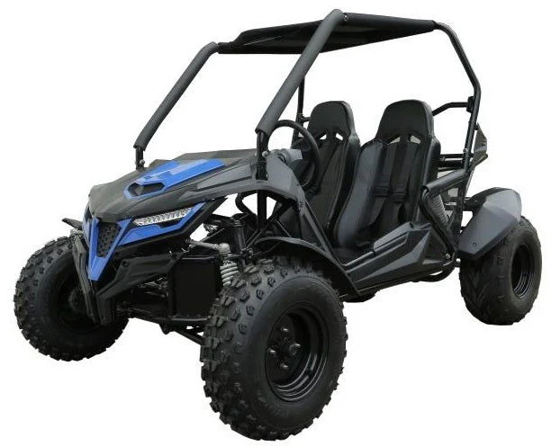 TrailMaster Cheetah 200E EFI Buggy Go Kart, CVT Automatic with Reverse