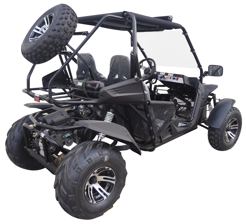 TrailMaster Cheetah 200X Go Kart (Special) CVT Automatic with Reverse, Alloy Wheels, Windshield