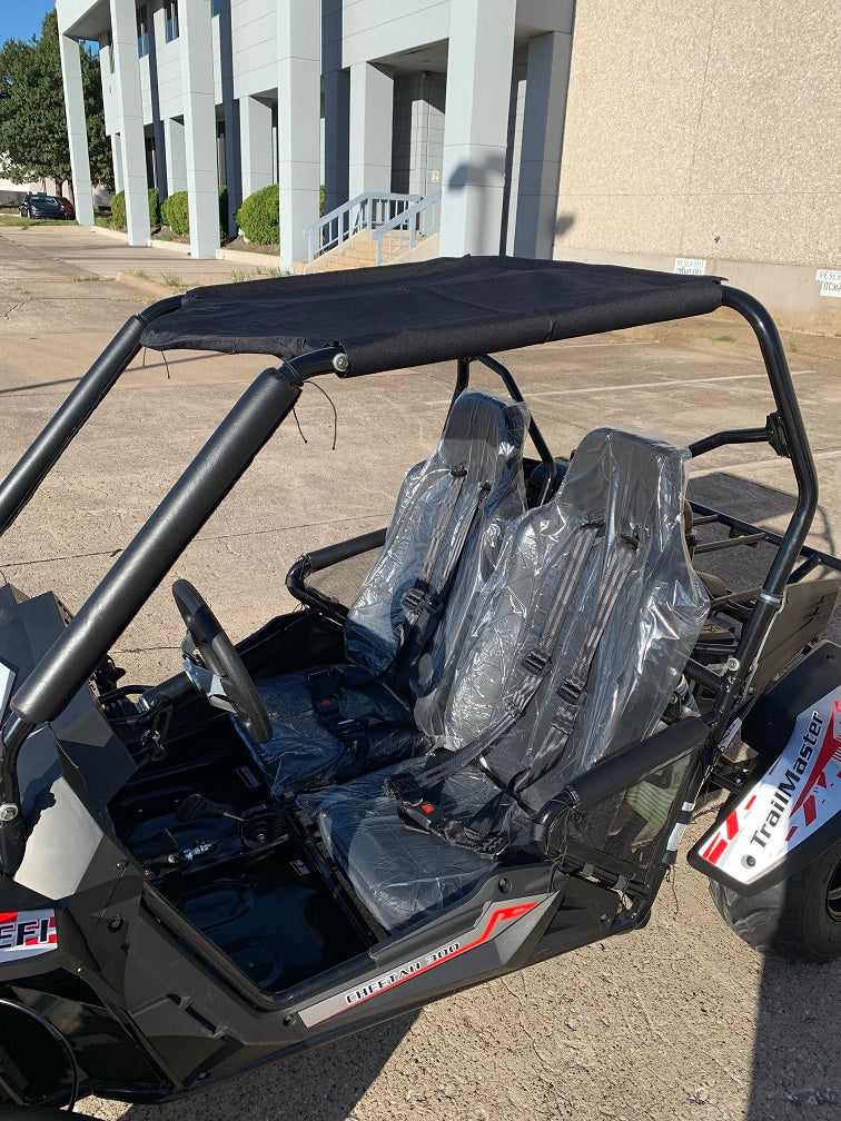 TrailMaster Cheetah 300E EFI UTV Go Kart, Liquid Cooled CVT Auto with Reverse