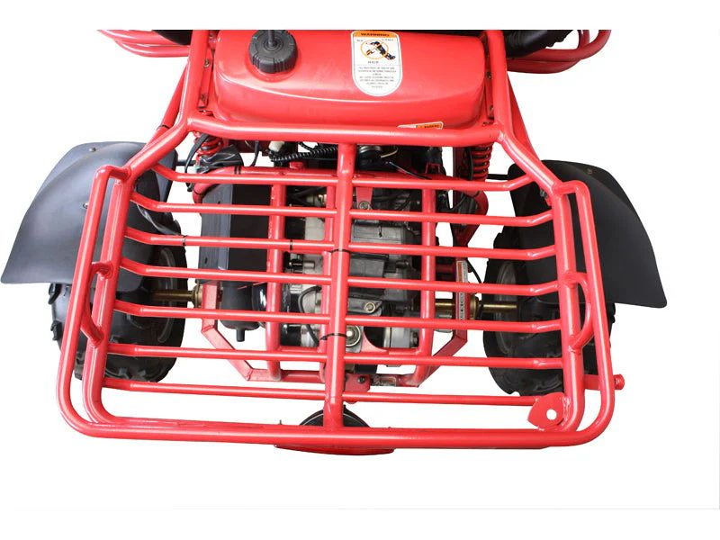 Explorer 150cc Buggy Go Kart, Electric Start, Automatic with Reverse, Ages 16 and up