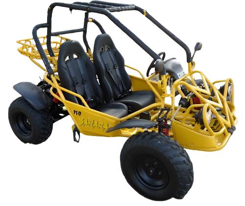 1563-sahara-150cc-buggy-go-kart-electric-start-automatic-with-reverse-ages-16-and-up-6.jpg Sahara 150cc Buggy Go Kart, Electric Start, Automatic with Reverse, Ages 16 and up