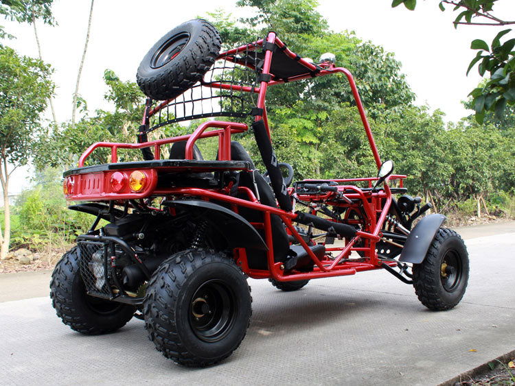 Rancher 200 Buggy Go Kart, Electric Start, Automatic with Reverse, 10-inch Steel Wheels, Ages 16 and up