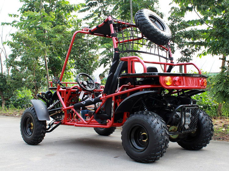 Rancher 200 Buggy Go Kart, Electric Start, Automatic with Reverse, 10-inch Steel Wheels, Ages 16 and up