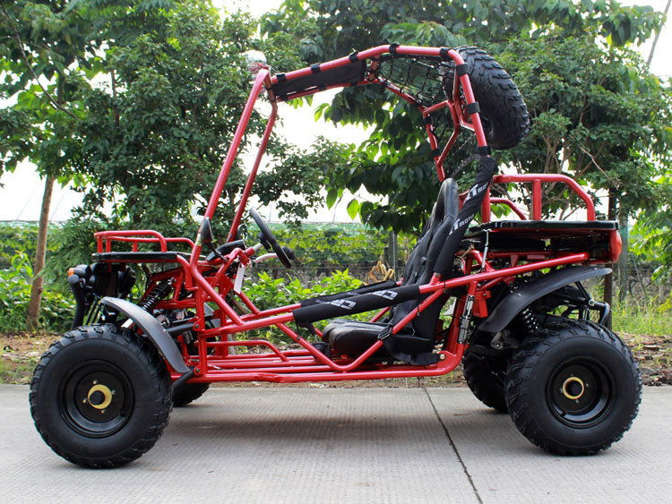 Rancher 200 Buggy Go Kart, Electric Start, Automatic with Reverse, 10-inch Steel Wheels, Ages 16 and up
