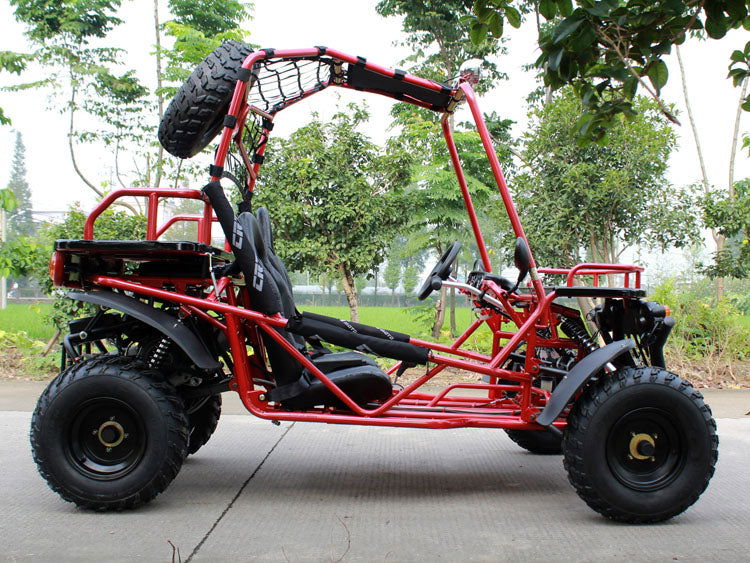 Rancher 200 Buggy Go Kart, Electric Start, Automatic with Reverse, 10-inch Steel Wheels, Ages 16 and up