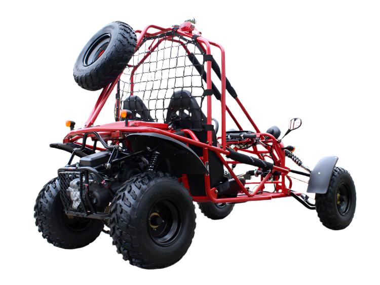 Spider 200 Buggy Go Kart, Electric Start, Automatic with Reverse, 10-inch Steel Wheels, Ages 16 and up