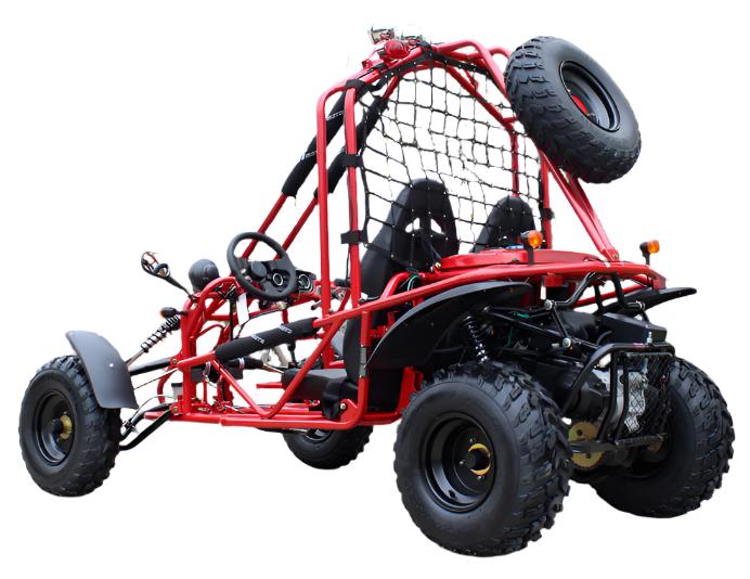 Spider 200 Buggy Go Kart, Electric Start, Automatic with Reverse, 10-inch Steel Wheels, Ages 16 and up