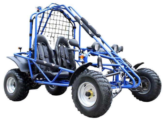 Spider 200 Buggy Go Kart, Electric Start, Automatic with Reverse, 10-inch Steel Wheels, Ages 16 and up