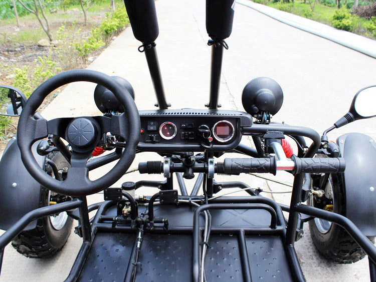 Spider 200 Buggy Go Kart, Electric Start, Automatic with Reverse, 10-inch Steel Wheels, Ages 16 and up