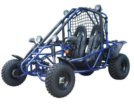 Spider 200 Buggy Go Kart, Electric Start, Automatic with Reverse, 10-inch Steel Wheels, Ages 16 and up