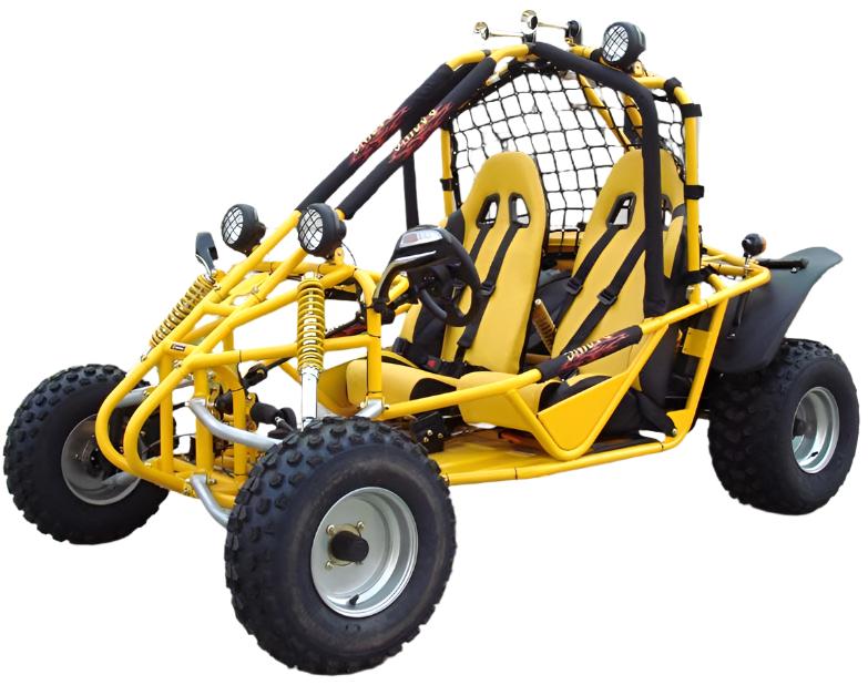 Spider 200 Buggy Go Kart, Electric Start, Automatic with Reverse, 10-inch Steel Wheels, Ages 16 and up