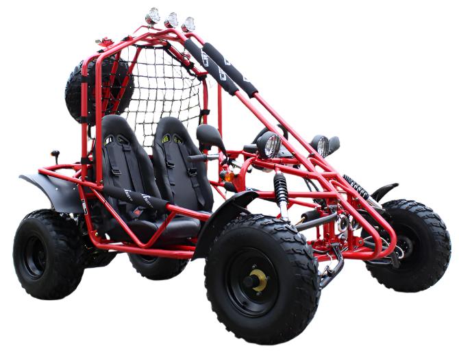 Spider 200 Buggy Go Kart, Electric Start, Automatic with Reverse, 10-inch Steel Wheels, Ages 16 and up