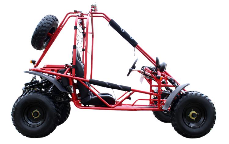 Spider 200 Buggy Go Kart, Electric Start, Automatic with Reverse, 10-inch Steel Wheels, Ages 16 and up