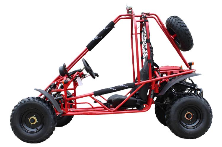 Spider 200 Buggy Go Kart, Electric Start, Automatic with Reverse, 10-inch Steel Wheels, Ages 16 and up