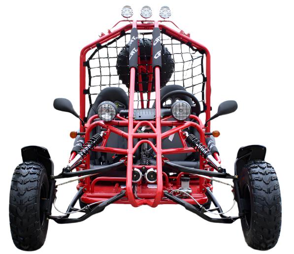 Spider 200 Buggy Go Kart, Electric Start, Automatic with Reverse, 10-inch Steel Wheels, Ages 16 and up