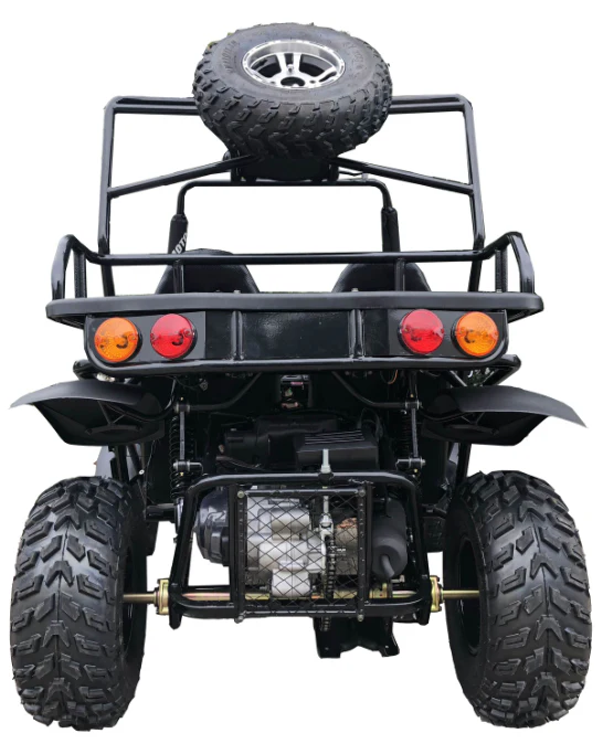 1577-rancher-200dlx-buggy-go-kart-electric-start-automatic-with-reverse-10-inch-deluxe-alloy-wheels-ages-16-and-up-10.webp Rancher 200DLX Buggy Go Kart, Electric Start, Automatic with Reverse, 10-inch Deluxe Alloy Wheels, Ages 16 and up
