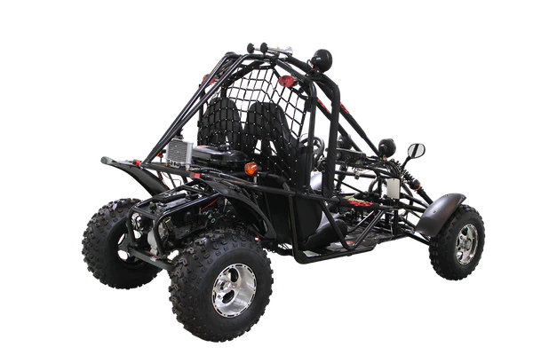 Spider 200 DLX Buggy Go Kart, Electric Start, Automatic with Reverse, 10-inch Alloy Wheels, Ages 16 and up