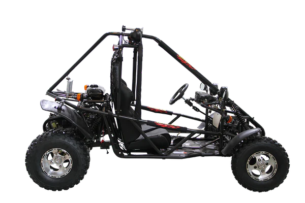 Spider 200 DLX Buggy Go Kart, Electric Start, Automatic with Reverse, 10-inch Alloy Wheels, Ages 16 and up