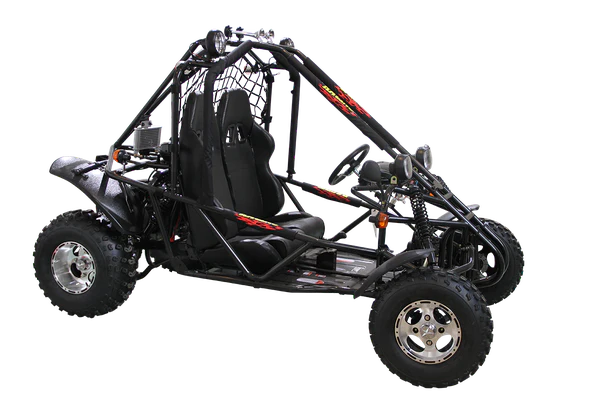 Spider 200 DLX Buggy Go Kart, Electric Start, Automatic with Reverse, 10-inch Alloy Wheels, Ages 16 and up