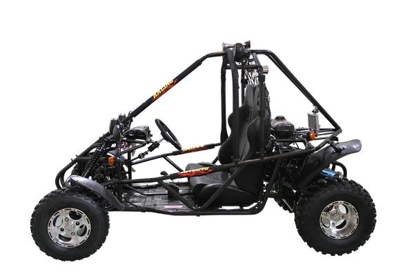 Spider 200 DLX Buggy Go Kart, Electric Start, Automatic with Reverse, 10-inch Alloy Wheels, Ages 16 and up