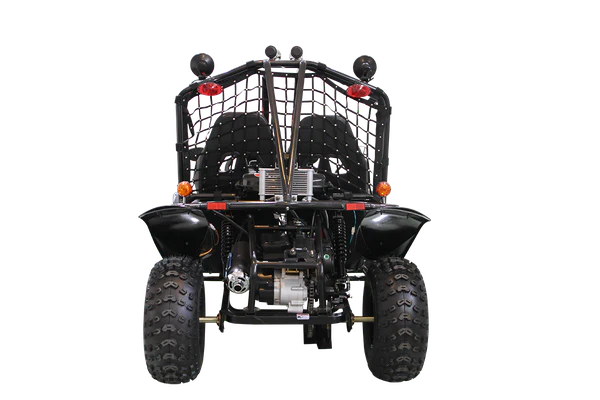 Spider 200 DLX Buggy Go Kart, Electric Start, Automatic with Reverse, 10-inch Alloy Wheels, Ages 16 and up