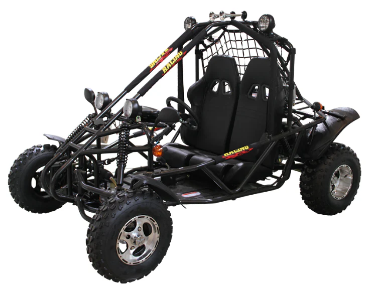 Spider 200 DLX Buggy Go Kart, Electric Start, Automatic with Reverse, 10-inch Alloy Wheels, Ages 16 and up