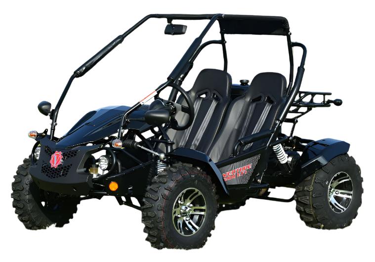 1604-venture-200-efi-buggy-go-kart-electric-start-automatic-with-reverse-ages-16-and-up-3.jpg Venture 200 EFI Buggy Go Kart, Electric Start, Automatic with Reverse, Ages 16 and up