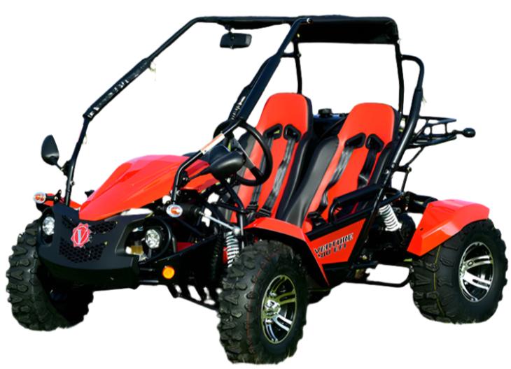 1604-venture-200-efi-buggy-go-kart-electric-start-automatic-with-reverse-ages-16-and-up-4.jpg Venture 200 EFI Buggy Go Kart, Electric Start, Automatic with Reverse, Ages 16 and up