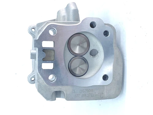 GX160/GX200 22cc Race Head Using Aftermarket Core