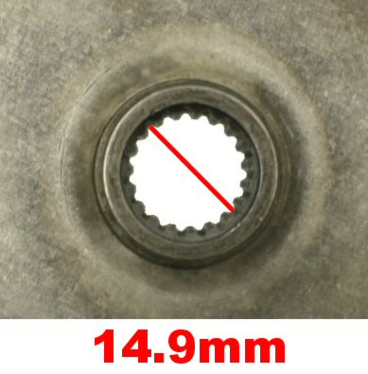 250cc Clutch Assembly