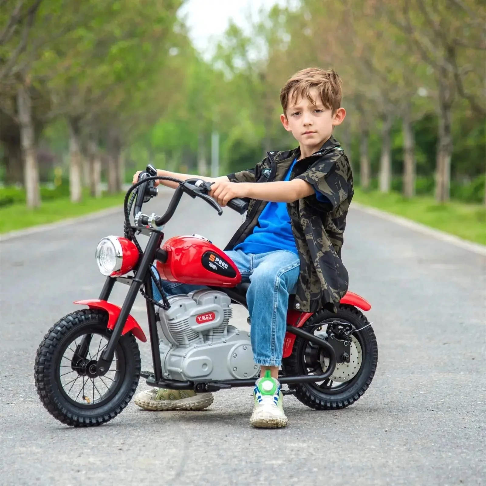 4090-36v-freddo-e-chopper-leather-seat-rubber-air-wheels-brushless-motor-1.webp 36V Freddo E-Chopper, Leather Seat, Rubber Air Wheels, Brushless Motor