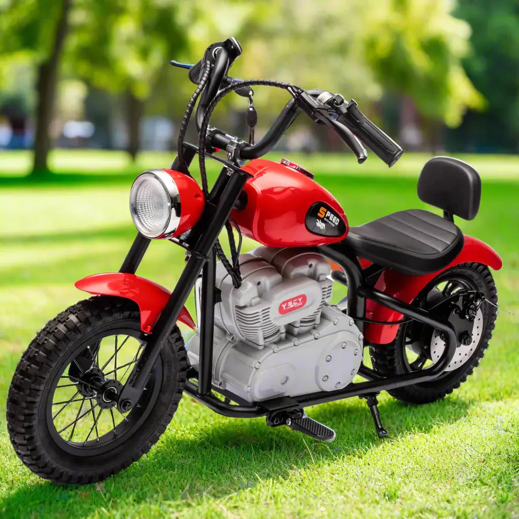 36V Freddo E-Chopper, Leather Seat, Rubber Air Wheels, Brushless Motor