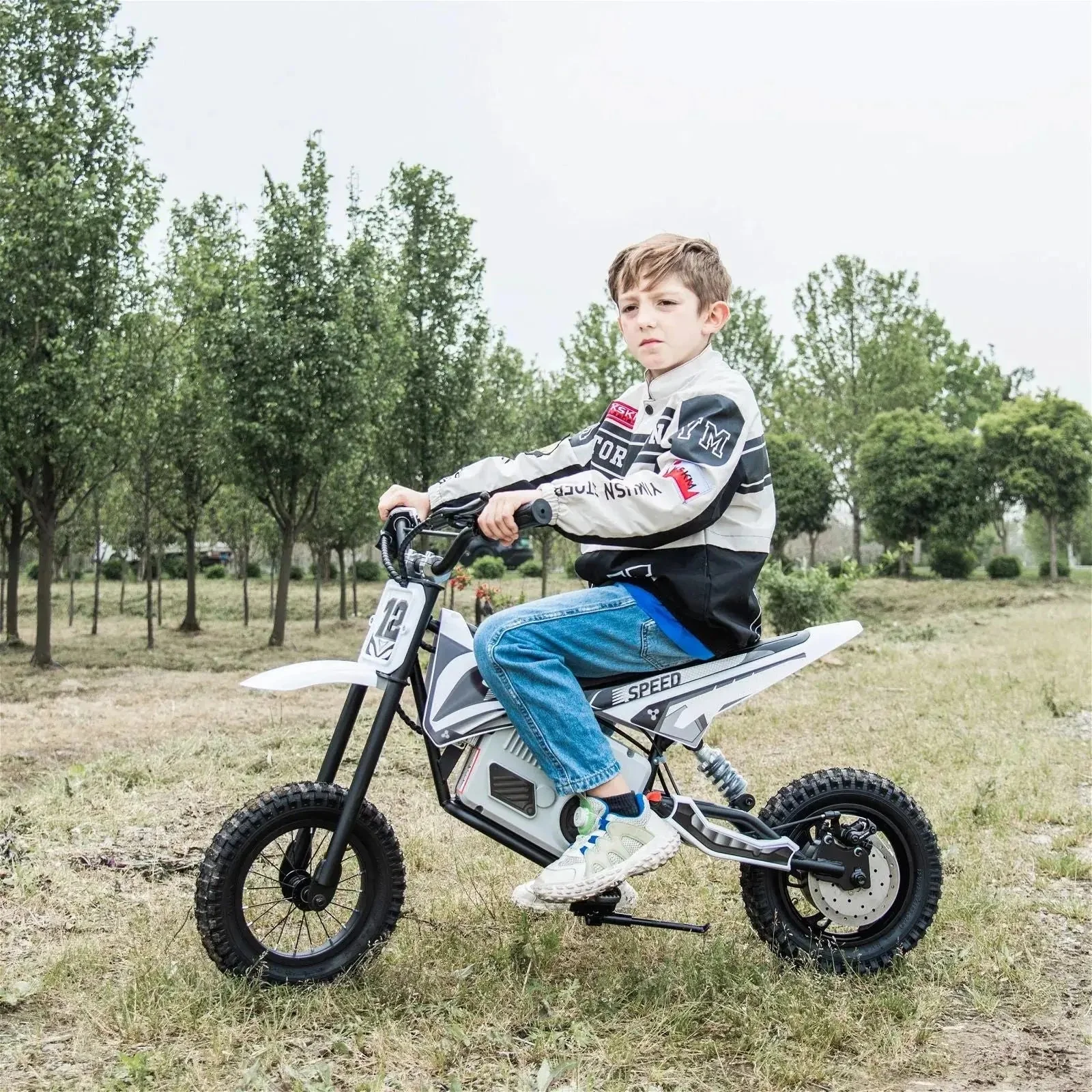4093-36v-freddo-electric-dirt-bike-with-brushless-motor-3.webp 36V Freddo Electric Dirt Bike with Brushless Motor