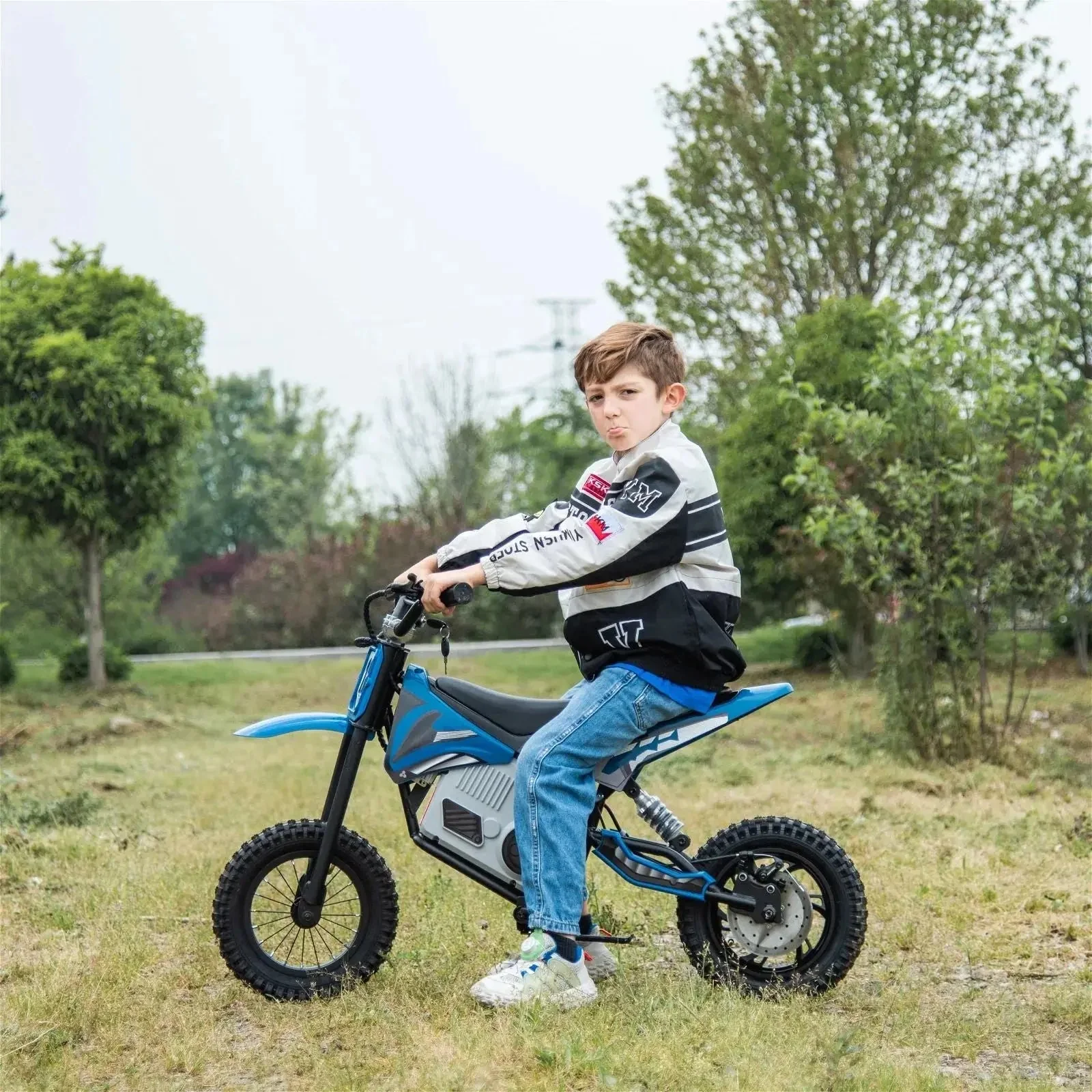 4093-36v-freddo-electric-dirt-bike-with-brushless-motor-30.webp 36V Freddo Electric Dirt Bike with Brushless Motor