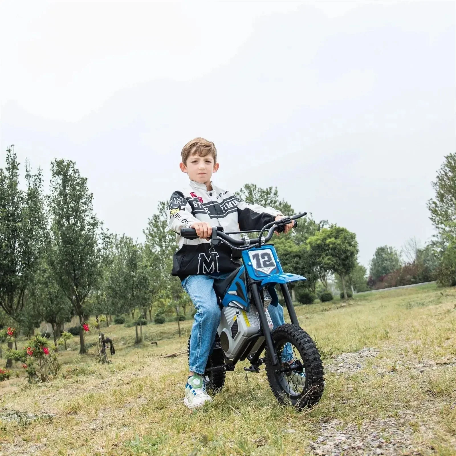 4093-36v-freddo-electric-dirt-bike-with-brushless-motor-34.webp 36V Freddo Electric Dirt Bike with Brushless Motor